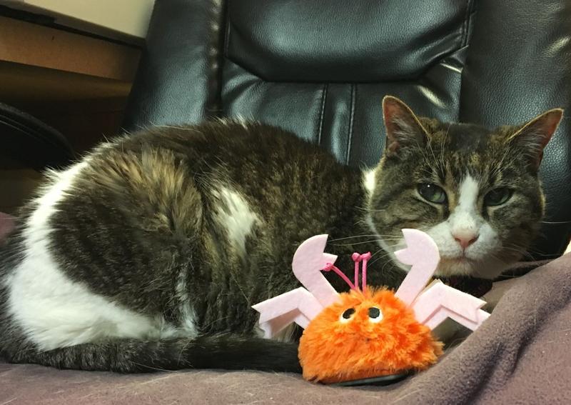 New Paltz Animal Hospital New Paltz veterinary hospital